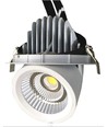 LEDlife 30W Downlight - Justerbar vinkel, 3100lm, Hål: Ø15,5 cm, Mått: Ø16,5 cm, 230V