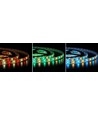 12W/m RGB+WW LED strip - 5m, IP65, 60 LED per. meter, 12V