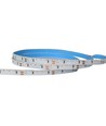 LEDlife 11W/m sidoljus LED strip - 5m, IP20, 24V, 120 LED per. meter