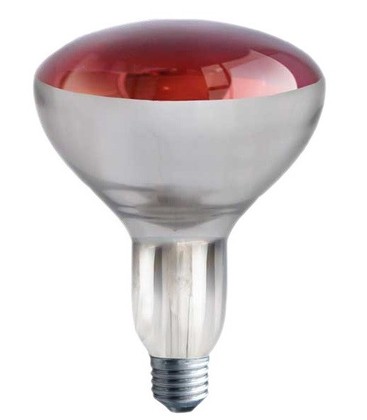 Röd E27 150W infraröd glödtrådslampa - Röd varmelampa, R125