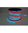 5m 12W/m RGBIC LED-strip - 230V, IP65, 60 LED per meter