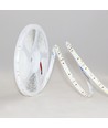 10m 12W/m LED-strip RA97 - 24V DC, IP20, 120 LED per meter
