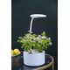 LEDlife hydroponisk miniköksträdgård - vit, inkl. växtljus, 6 platser, inbyggd timer och pump, 1,8L vattentank