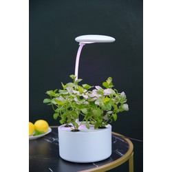  LEDlife hydroponisk miniköksträdgård - vit, inkl. växtljus, 6 platser, inbyggd timer och pump, 1,8L vattentank