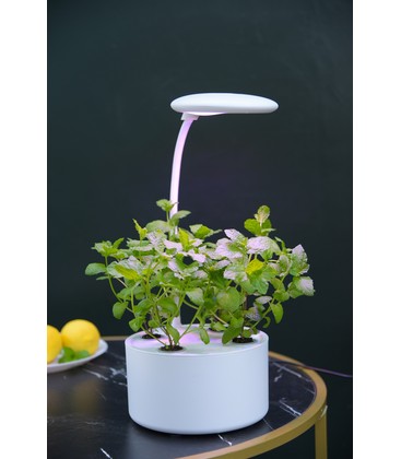 LEDlife hydroponisk miniköksträdgård - vit, inkl. växtljus, 6 platser, inbyggd timer och pump, 1,8L vattentank