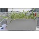 LEDlife hydroponisk växtlåda - Grå, 12 platser, med luftpump, 10L
