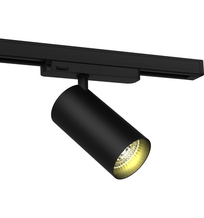30W 3-fas RA90 skenspotlight - 100 lm/W, 36 grader, Svart, Philips LED