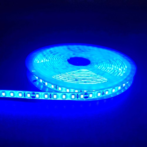 Blå 10W/m LED-strip - 5m, 120 LED pr. meter, 24V, IP65