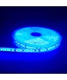 5m 10W/m Blå LED-strip - 24V DC, IP65, 120 LED per meter