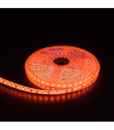 Orange 10W/m LED-strip - 5m, 120 LED pr. meter, 24V, IP65