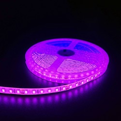Enkeltfärgad LED strip 24V Pink 10W/m LED-strip - 5m, 120 LED pr. meter, 24V, IP65