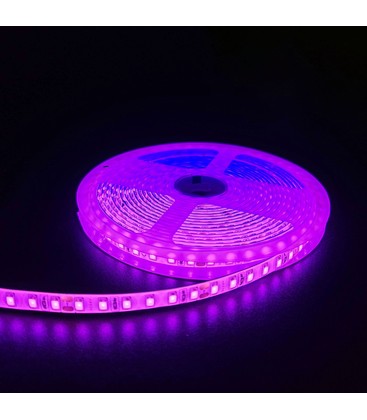 Pink 10W/m LED-strip - 5m, 120 LED pr. meter, 24V, IP65