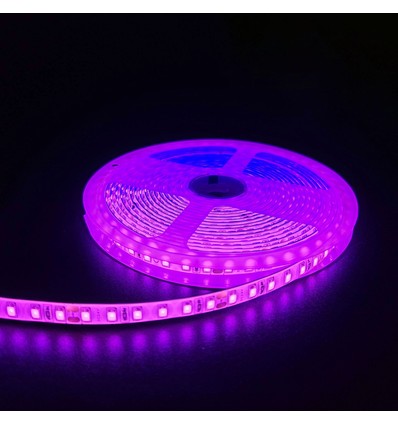 5m 10W/m Rosa LED-strip - 24V DC, IP65, 120 LED per meter