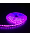 5m 10W/m Rosa LED-strip - 24V DC, IP65, 120 LED per meter