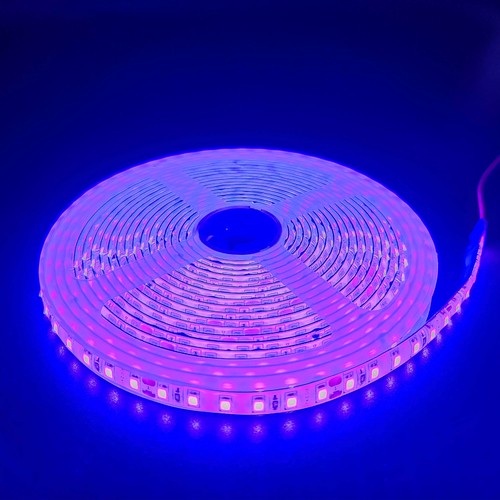 Lila 10W/m LED-strip - 5m, 120 LED pr. meter, 24V, IP65