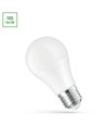 LED 10W E27 - 24V AC/DC, Varm Vit, Spectrum