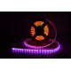 12W/m RGBIC LED strip - 10m, IP68, 60 LED pr. meter, 24V