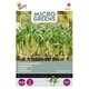 Outlet: Mikrogreens, borage