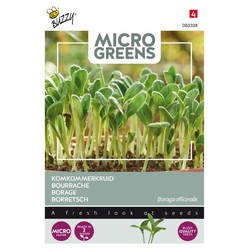 Outlet Outlet: Mikrogreens, borage