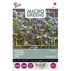 Diverse Outlet: Mikrogreens, senap röd krusiduller