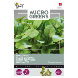 Frön Outlet: Mikrogreens, sorrel rödbröd, 0,5g