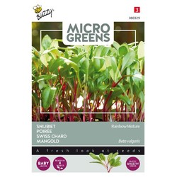 Frön Mikrogreens, Swiss Chard Rainbow Blandning