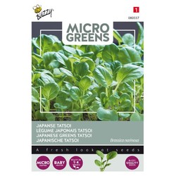Mikrogreens, Japanska Greens Tatsoi