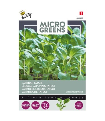 Mikrogreens, Japanska Greens Tatsoi