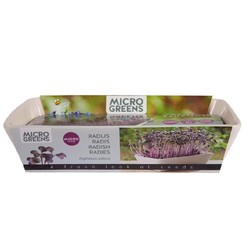 LED växtbelysning Outlet: Microgreens starterkit - Röd Daikon Röd.