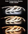 16W/m CCT COB-LED strip - 5m, IP20, 512 LED per. meter, 24V, RA97