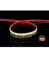 Osram 5m. IP68 RA92 LED strip, 11W/m, vattentät - 5m, 120 LED per meter, 24V, RA92