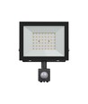 Noctis Lux strålkastare 50W - kallvitt, 230V, IP44, 176x221x53mm, svart, PIR-sensor.