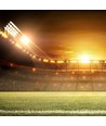 500W LED Sportsljus - MeanWell Dimbar, Samsung Chip, 5000K, 110D, 135lm/W