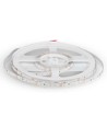 60 LED Strip-ljus 4,2W/m - 6400K, IP20, 5m/rulle