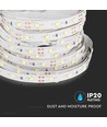 60 LED Strip-ljus 4,2W/m - 6400K, IP20, 5m/rulle