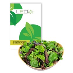 Outlet Outlet: Plocksallatfrön - Baby Leaf blandning, 0,2g