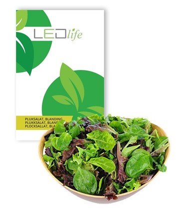 Lagertömning: Plocksallatfrön - Baby Leaf blandning, 0,2g