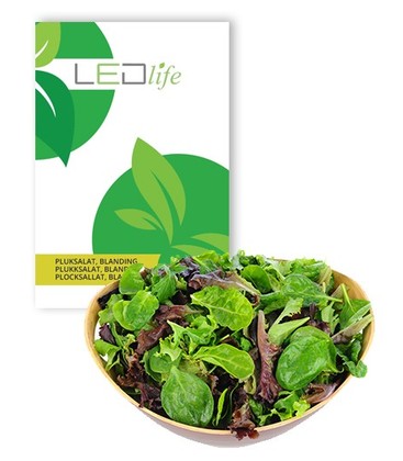 Outlet: Plocksallatfrön - Baby Leaf blandning, 0,2g