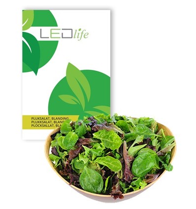 Outlet: Plocksallatfrön - Baby Leaf blandning, 0,2g