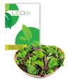 Outlet: Plocksallatfrön - Baby Leaf blandning, 0,2g