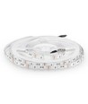 5m 8W/m RGB+3000K LED strip - 12V, IP20, 60 LED per meter, 5050 SMD