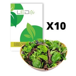 Frön 10 påsar Plocksallatfrön - Baby Leaf blandning