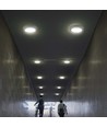 12W LED taklampa - Ø16,7cm, 6500K - kallvit, IP20, vit kant, rund, 5 års garanti
