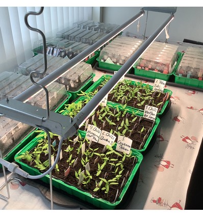 LEDlife Pro-Grow 2.0 Växt set - 2 x 90cm, 30W LED, fullt spektrum (Vitt ljus), IP65