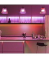 5m 11W/m röd/grön/blå/gul LED-strip - 60 LED per meter, välj färg