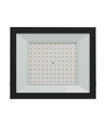 100W strålkastare Noctis Lux 4 - Svart, IP65, 230V, Spectrum