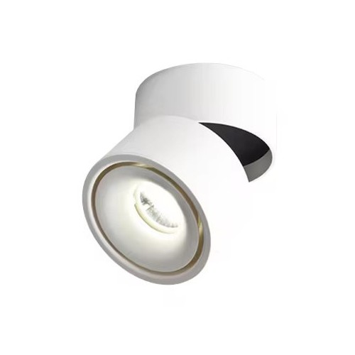 Dimbar LED takspot RA98 - 10W, vit, justerbar, för utanpåliggande montage