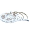 5m RGB+WW COB-LED strip - 20W/m, IP20, 784 LED pr. meter, 24V, COB LED