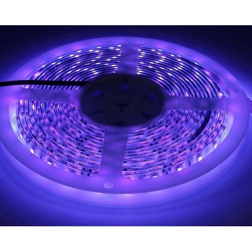 5m 10W/m UV 400 nm LED-strip - 24V DC, IP20, 120 LED per meter