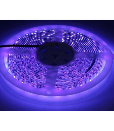 UV 400 nm 14,4W/m 24V LED strip - 5m, IP20, 60 LED per. meter